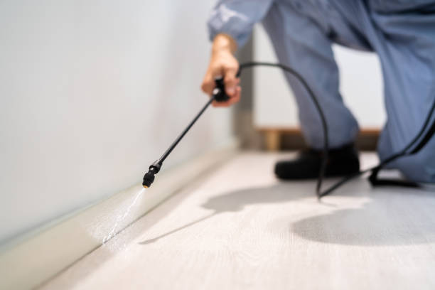 Licensed Pest Control service in El Paso, TX - Show Me Pest Control