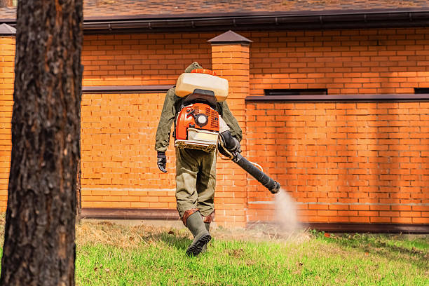 Bed Bug Clearance Verification and Documentation in El Paso